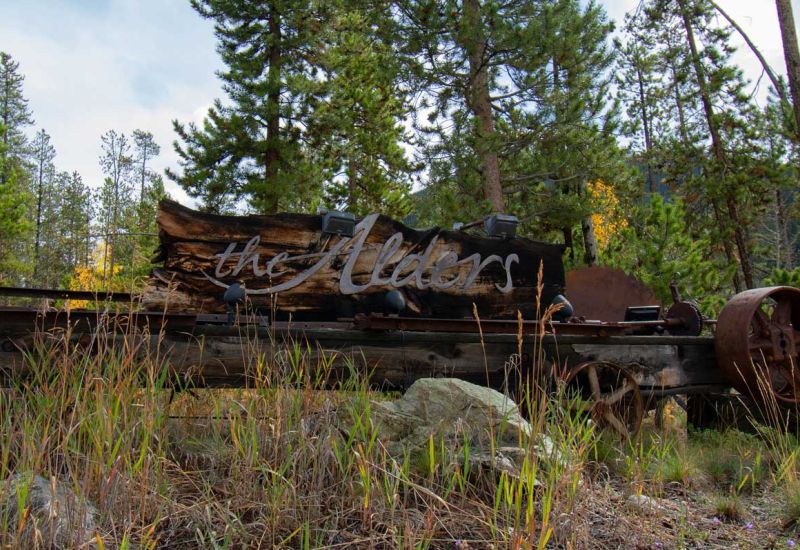 The Estates at The Alders Association