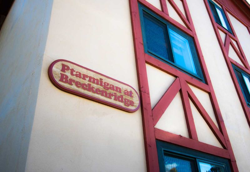 Ptarmigan at Breckenridge